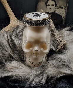 Skull Candle New